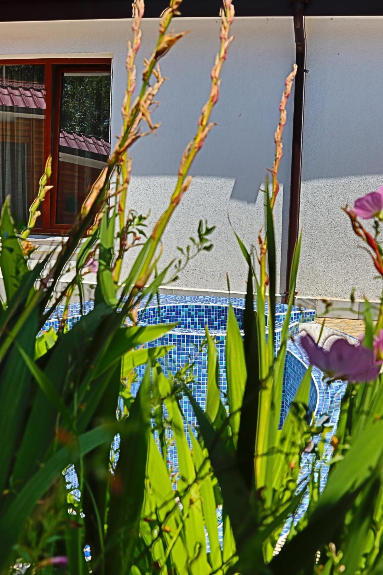 Holiday House Kubrat Sapareva Banya Exterior photo